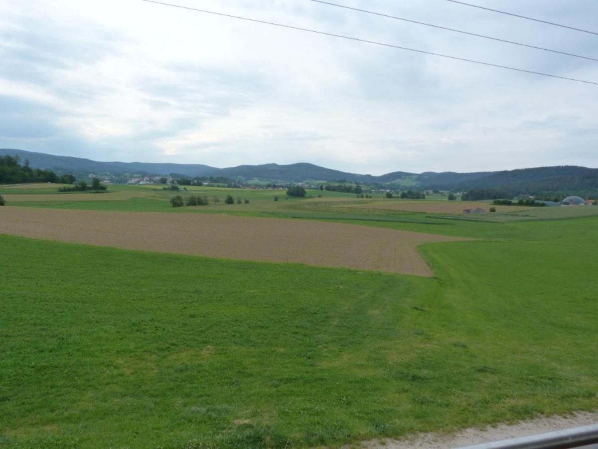 Ferienwohnung Spachtholz Waldmünchen Exterior foto